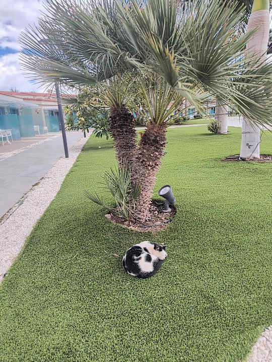 Gartenanlage Kumara Serenoa by Lopesan Hotels
