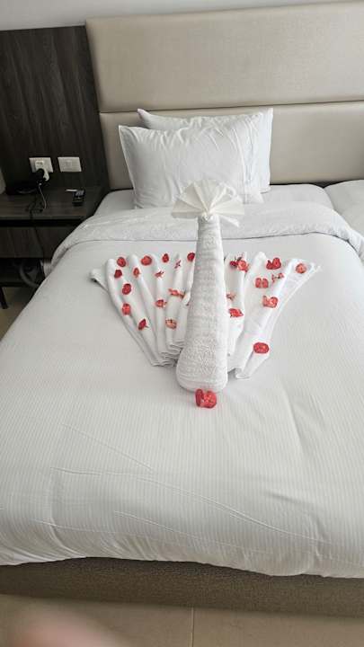 Zimmer Albatros Makadi Resort