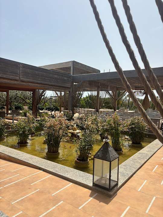 Gastro Iberostar Waves Mehari Djerba