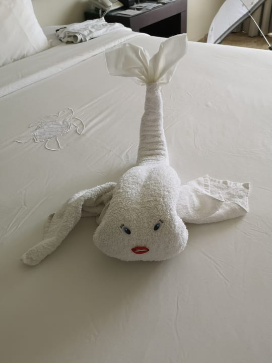 Zimmer Akumal Bay Beach & Wellness Resort