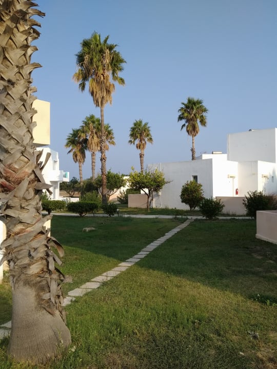 Gartenanlage Summer Village of Hippokrates - Adults only