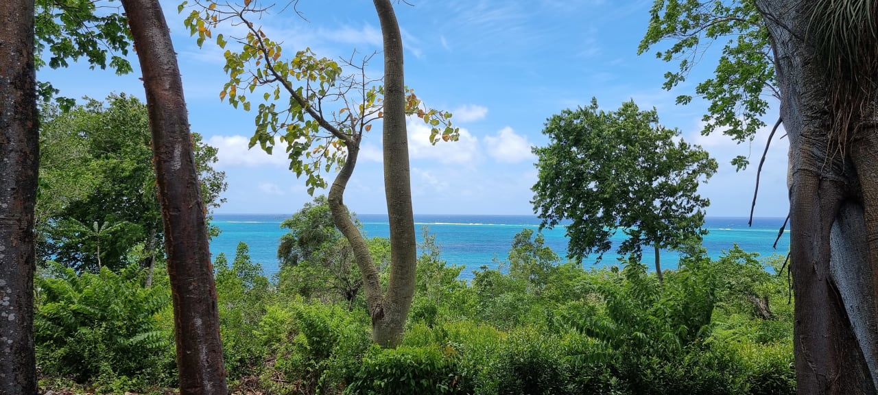 Gastro Paradisus Rio de Oro Resort & Spa - Adults only