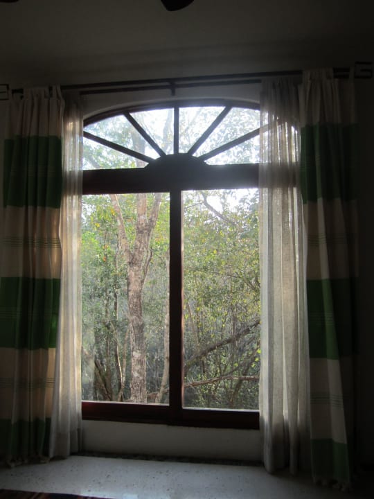 Ausblick in den Urwald Hotel Okaan