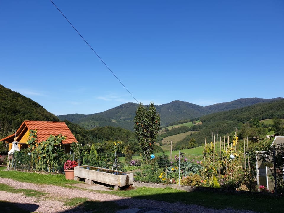 Gartenanlage Bauernhof Bernhardenhof