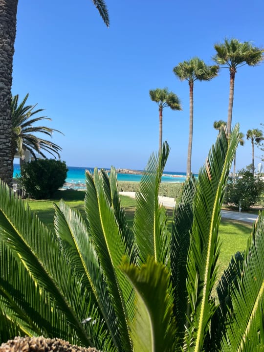 Ausblick Hotel Nissi Beach Resort
