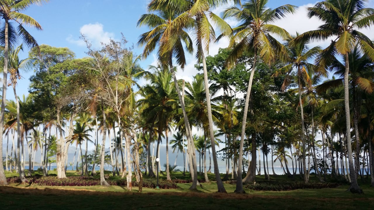 Ausblick Wyndham Alltra Samana