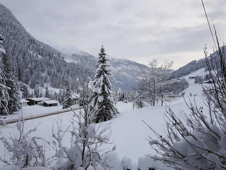 Ausblick Tattoo Pension