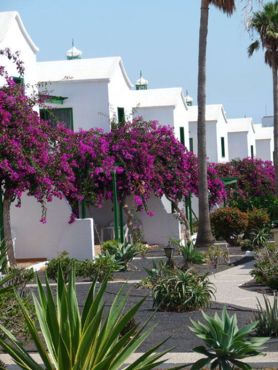 Blick in die Anlage Hotel Hyde Park Lane