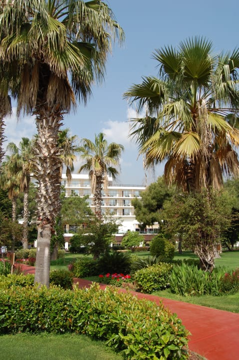 Gartenanlage TUI MAGIC LIFE Beldibi +16