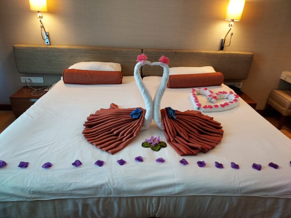 Zimmer Commodore Elite Suites & Spa - Adults only