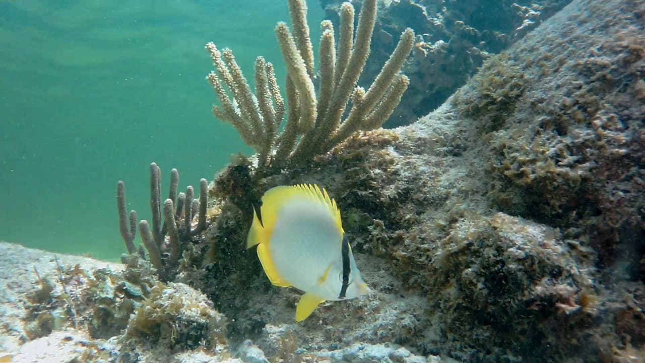 Sport & Freizeit Akumal Bay Beach & Wellness Resort