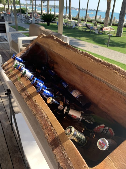 Gastro Acanthus Cennet Barut Collection