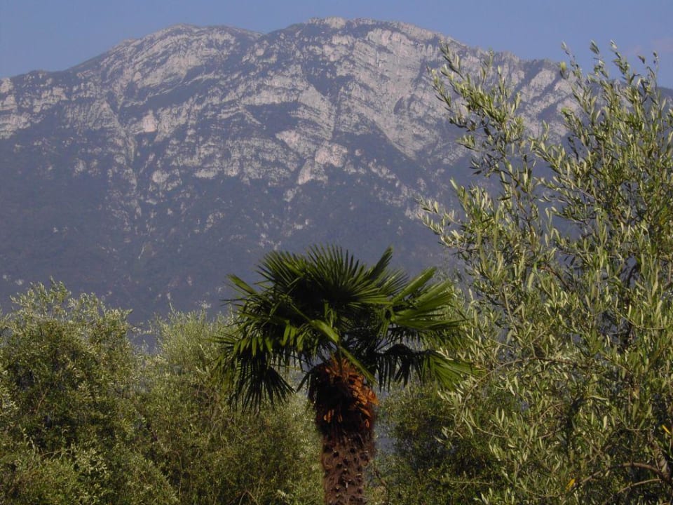 Aussicht vom Pool auf die herrlichen Berge Hotel Caravel