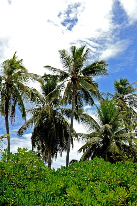 Tolle Gartenanlage Velassaru Maldives