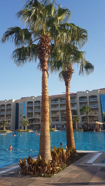 Pool Pickalbatros White Beach Resort - Hurghada