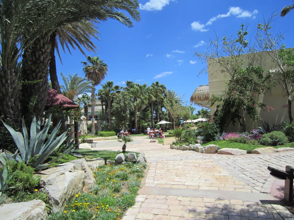Weg zum Strand TUI MAGIC LIFE Africana