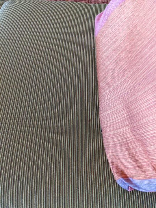 Zimmer Center Parcs Park Bostalsee