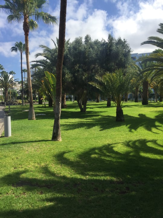 Gartenanlage Hotel Riu Gran Canaria
