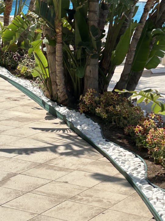 Gartenanlage Saturn Palace Resort Hotel