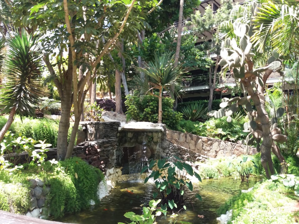 Gartenanlage Hotel Parque Tropical