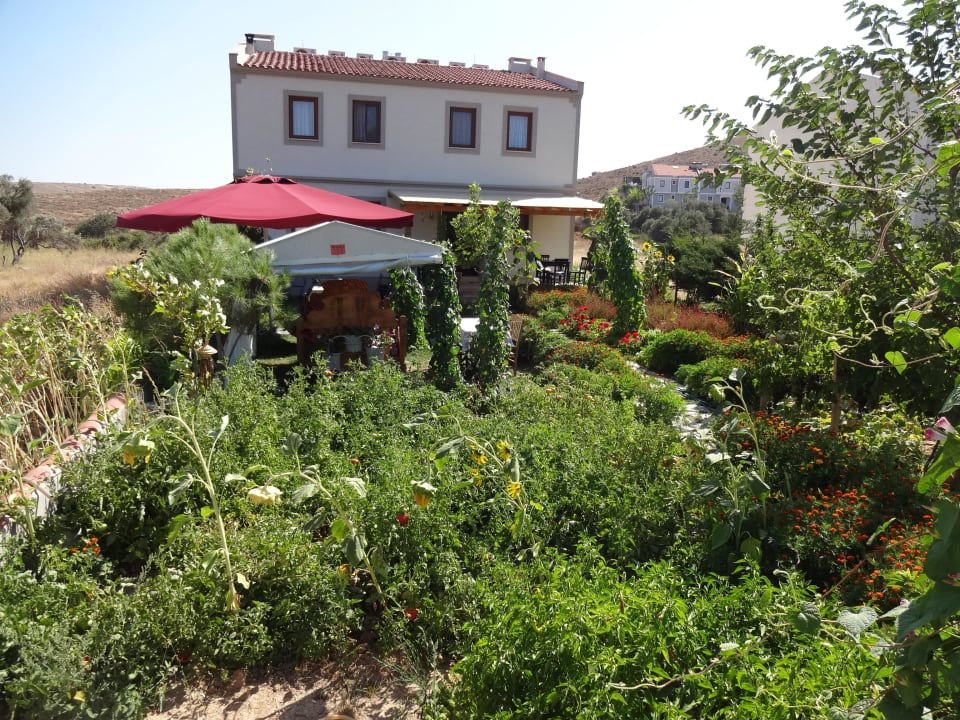 Das Hotel von außen Hotel Bozcaada Iris