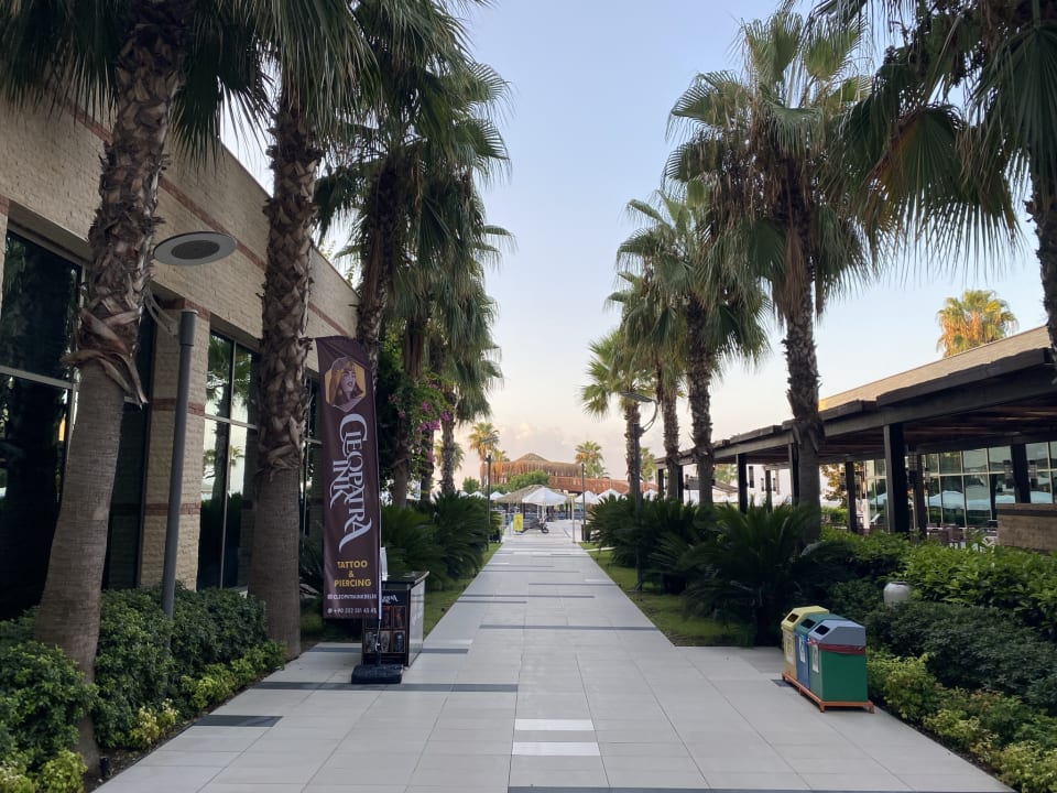 Gartenanlage Sherwood Dreams Resort