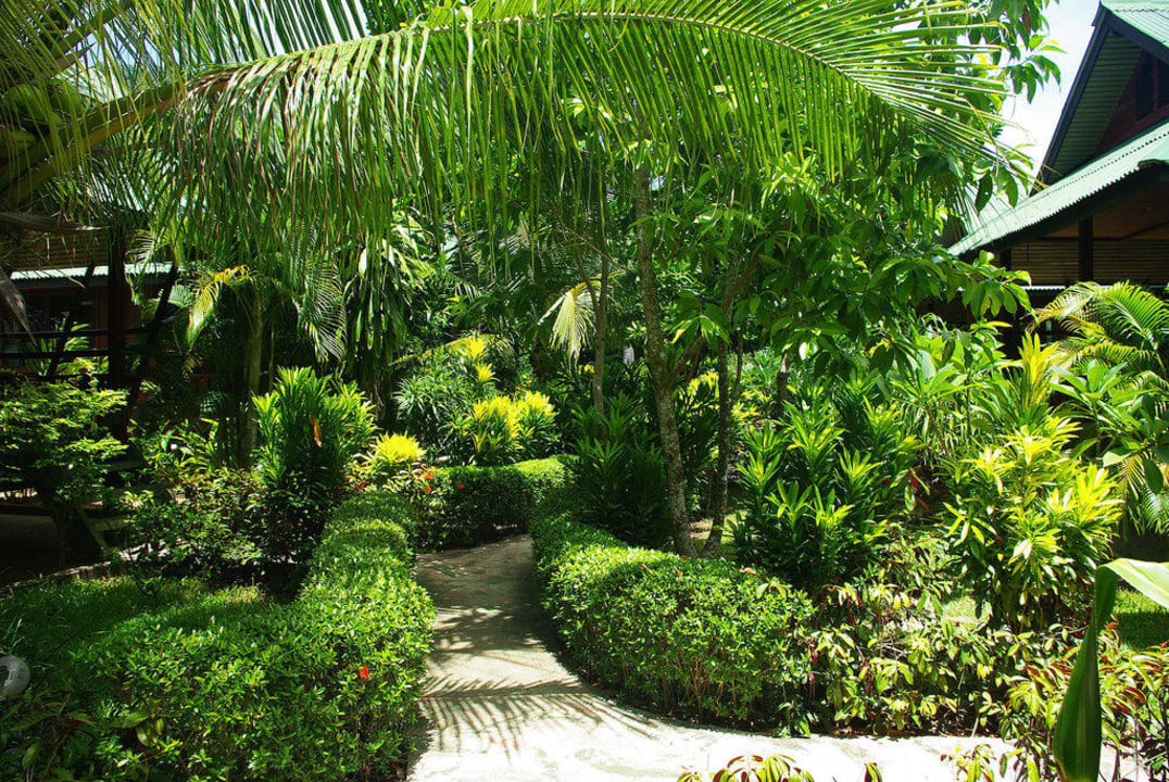 Bungalowy Dreamland Resort Hotel Dreamland Resort