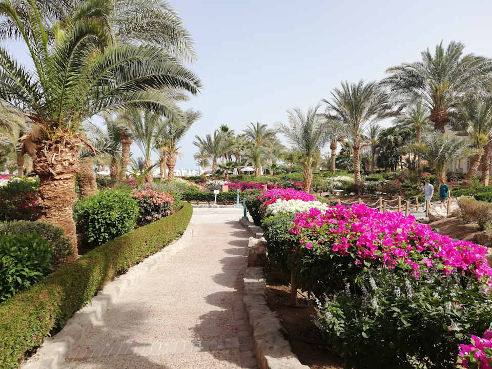 Gartenanlage Mövenpick Resort & Spa El Gouna