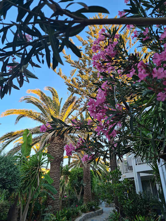 Gartenanlage HARPIN Happy Days Beach Hotel