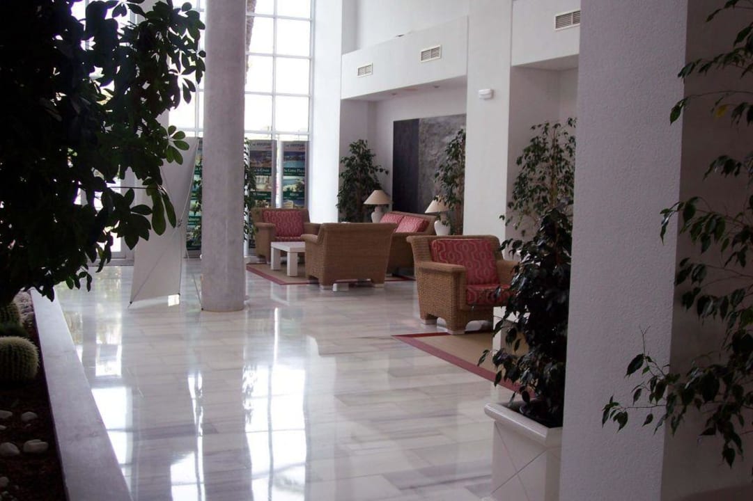 Lobby Protur Vista Badia Aparthotel