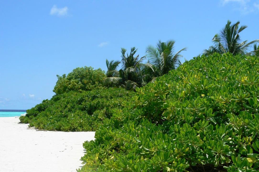 Inselhopping Summer Island Maldives
