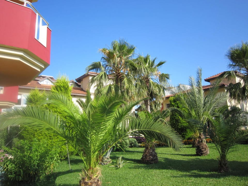 Erholung pur Hotel Orfeus Park