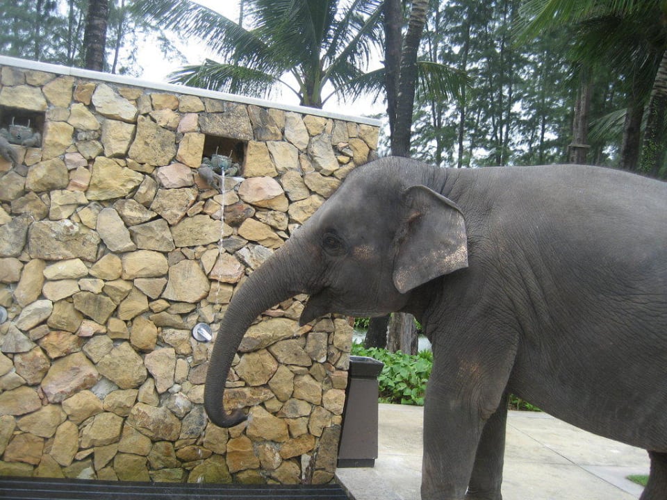 Der Hotel Elephant Dusit Thani Krabi Beach Resort