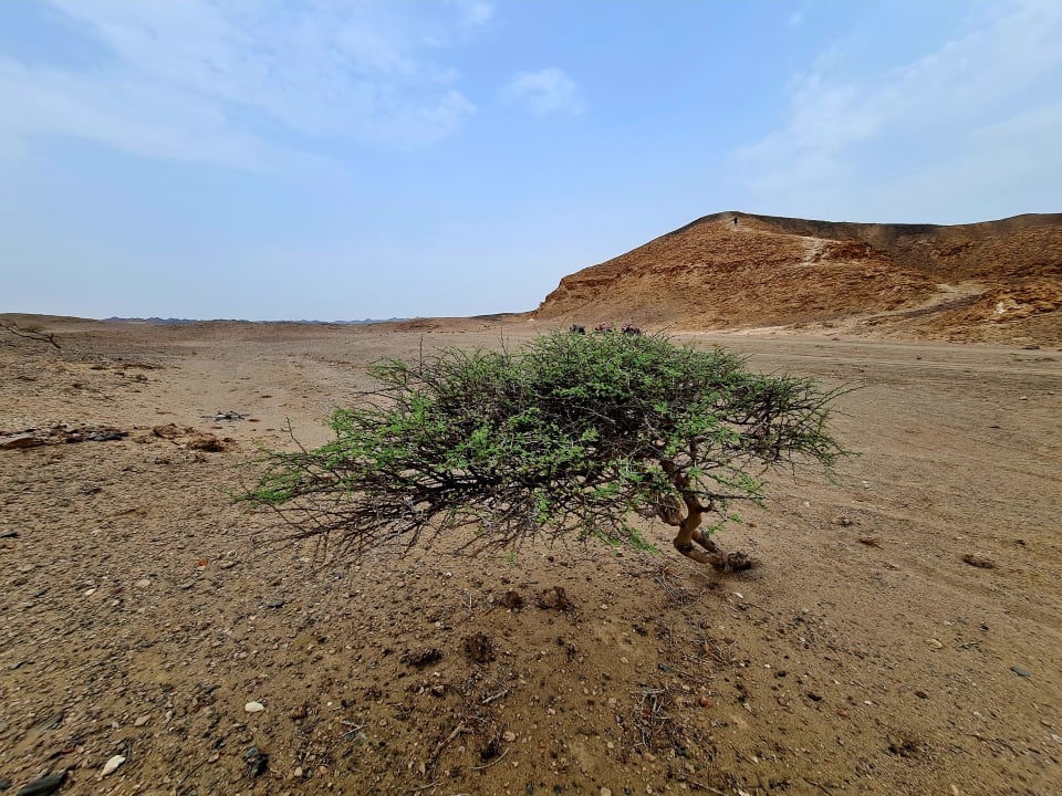 Strand Shams Alam Beach Resort