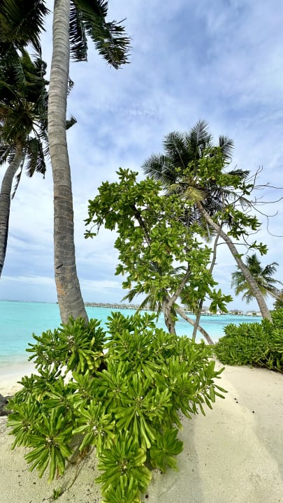 Strand Villa Park Sun Island