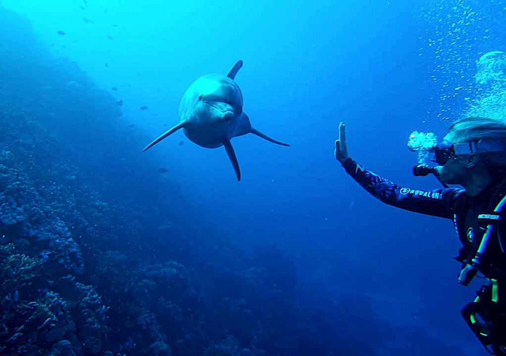 Sport & Freizeit Utopia Beach Club