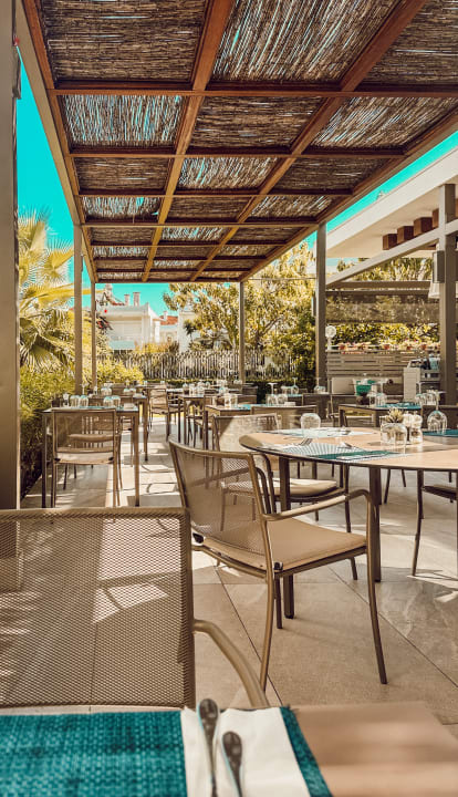 Gastro Acanthus Cennet Barut Collection