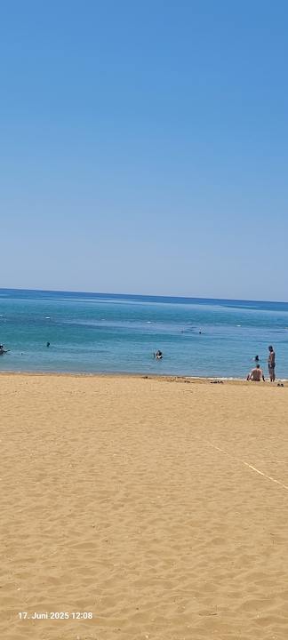 Strand Seashell Vega