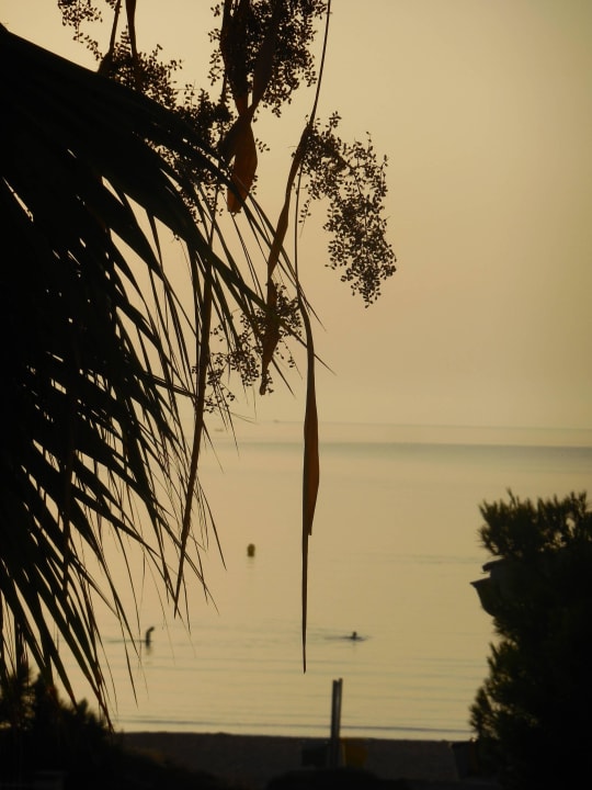 Sonnenaufgang Aparthotel Ivory Playa