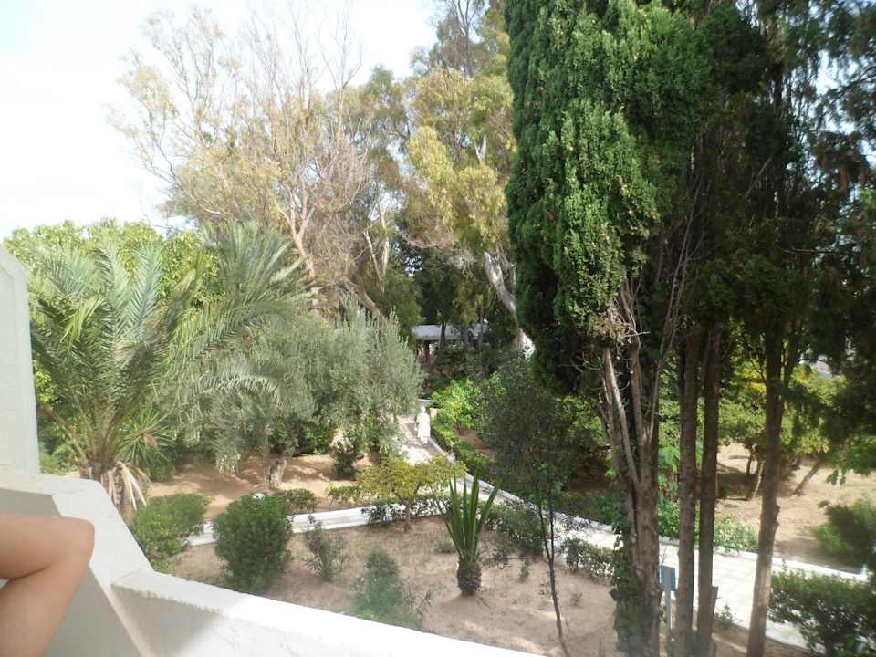 Ausblick von unserem Zimmer Movie Gate Miramar