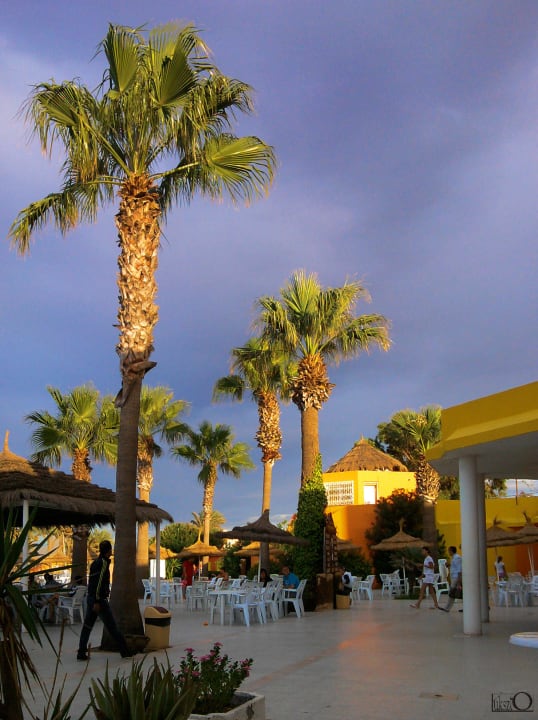Bar przy basenie Caribbean World Monastir