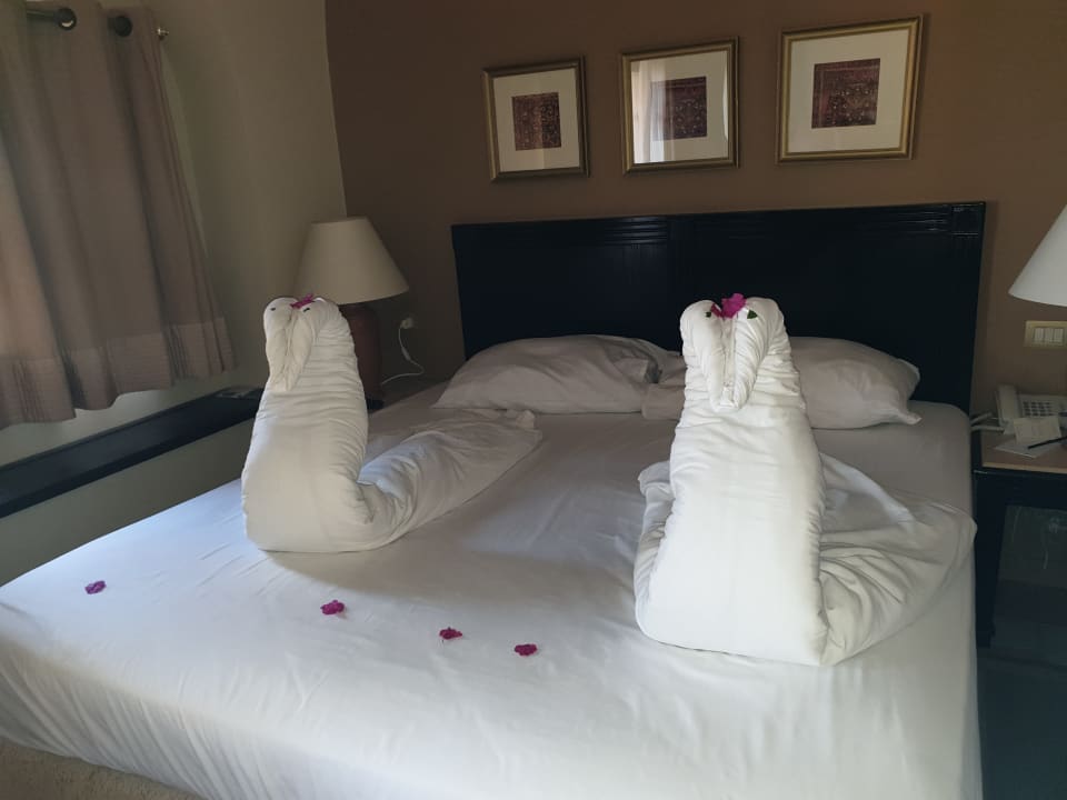 Zimmer Steigenberger Coraya Beach - Adults only