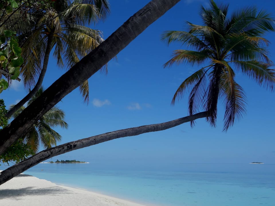 Besser geht es kaum ! Diamonds Thudufushi