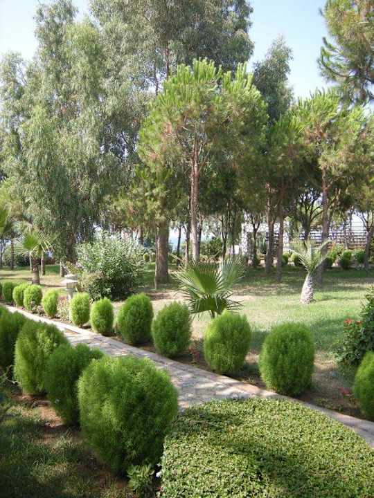 Ogród hotelowy Club Turtas Beach Hotel