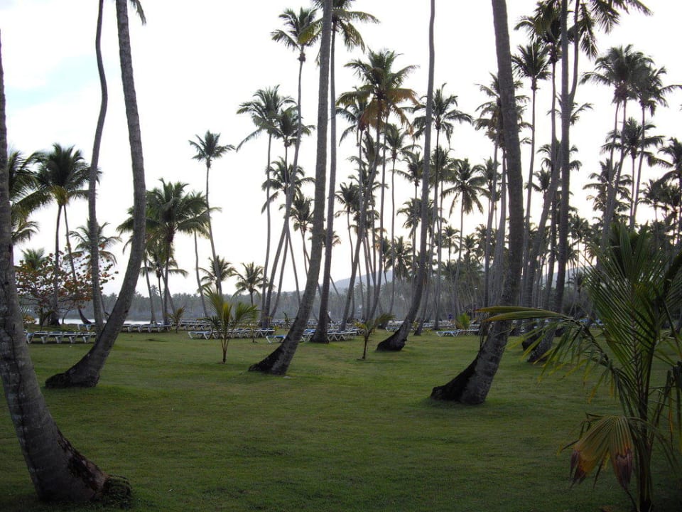 Garten nach Regen Wyndham Alltra Samana