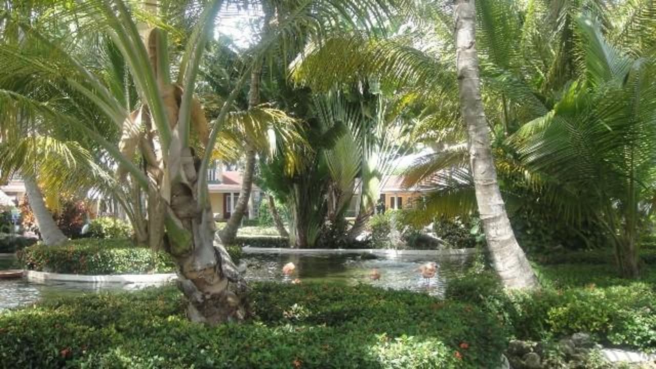 Eingangsbereich Bavaro TRS Turquesa Hotel - Adults only