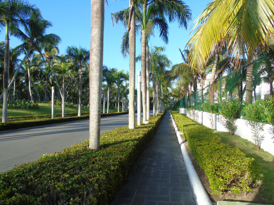 Gartenanlage Hotel Riu Palace Macao - Adults only