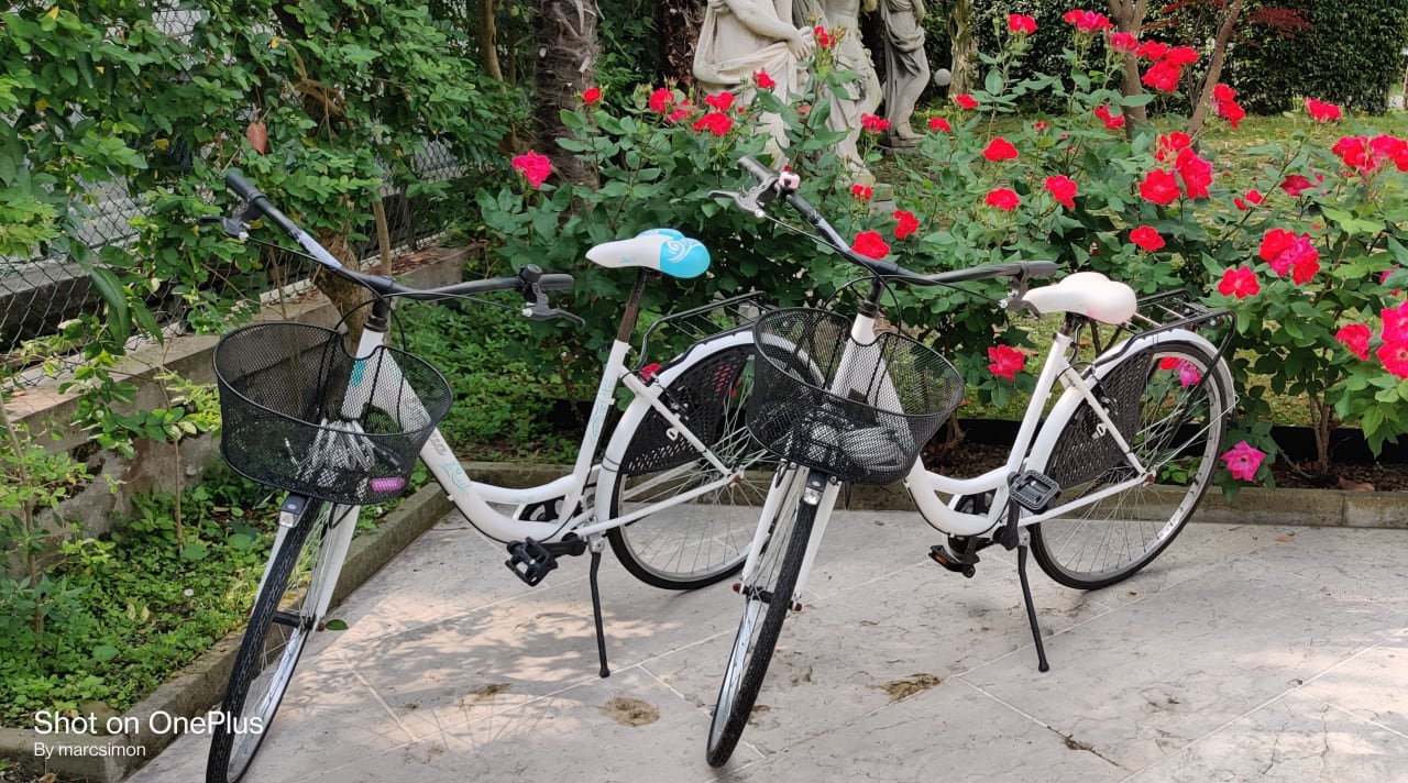 Sport & Freizeit Villa Delle Palme