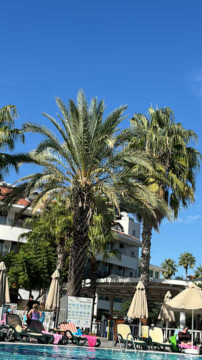 Außenansicht Alba Queen Hotel