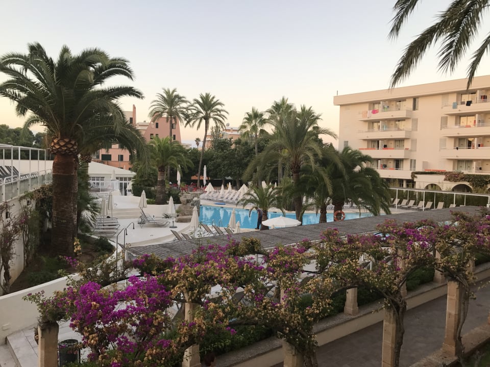Pool Hotel Rosella by Intelier